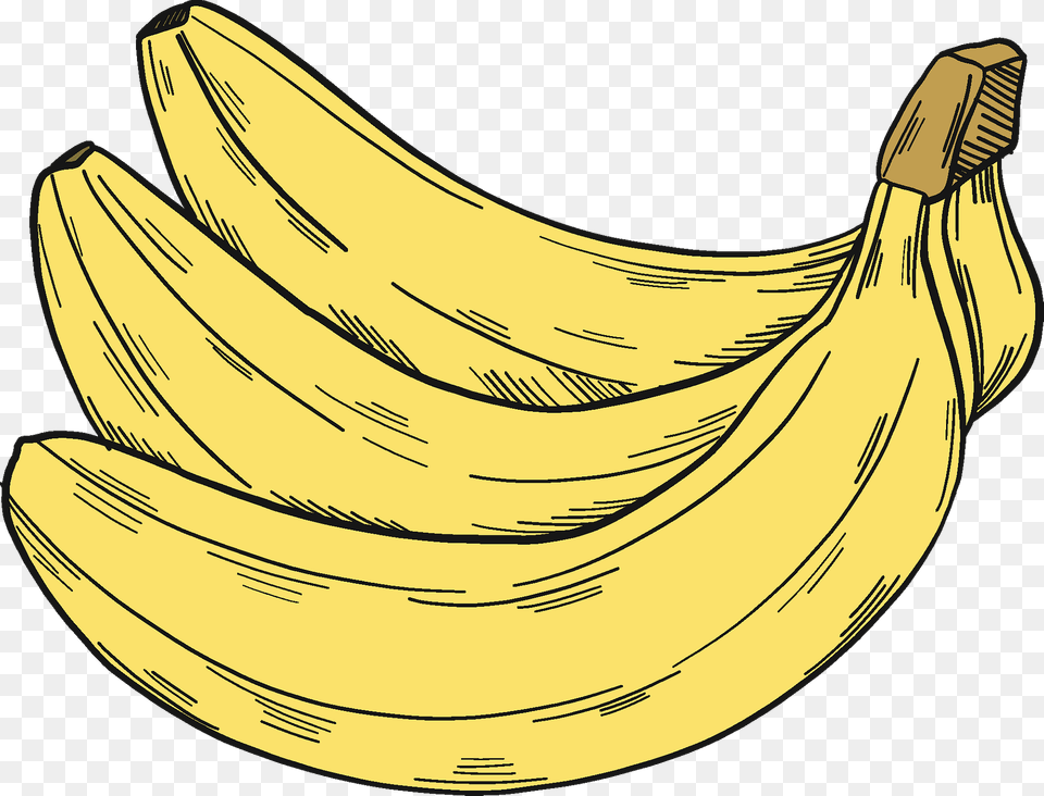 Bunch Of Bananas Clipart, Banana, Food, Fruit, Plant Free Transparent Png