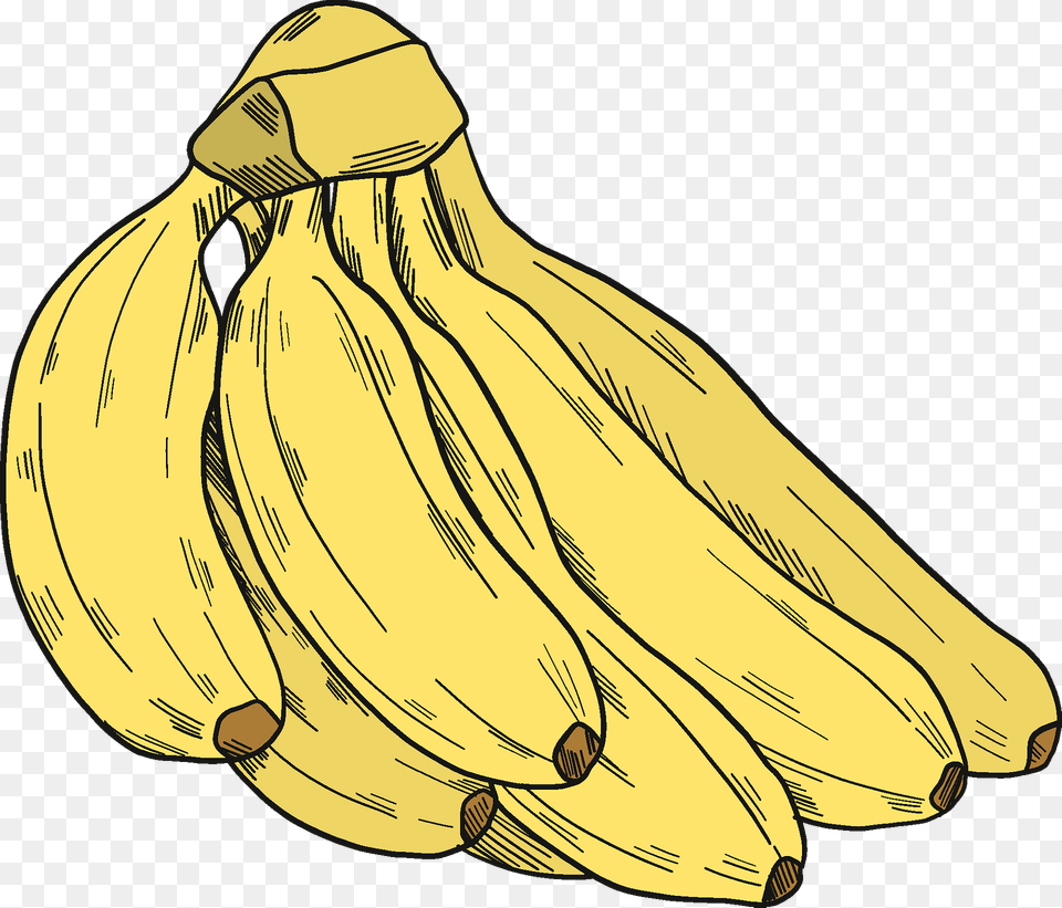 Bunch Of Bananas Clipart, Banana, Food, Fruit, Plant Png