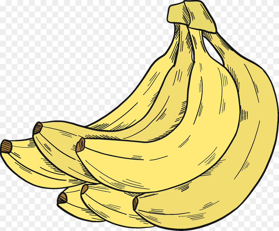 Bunch Of Bananas Clipart, Banana, Food, Fruit, Plant Free Transparent Png