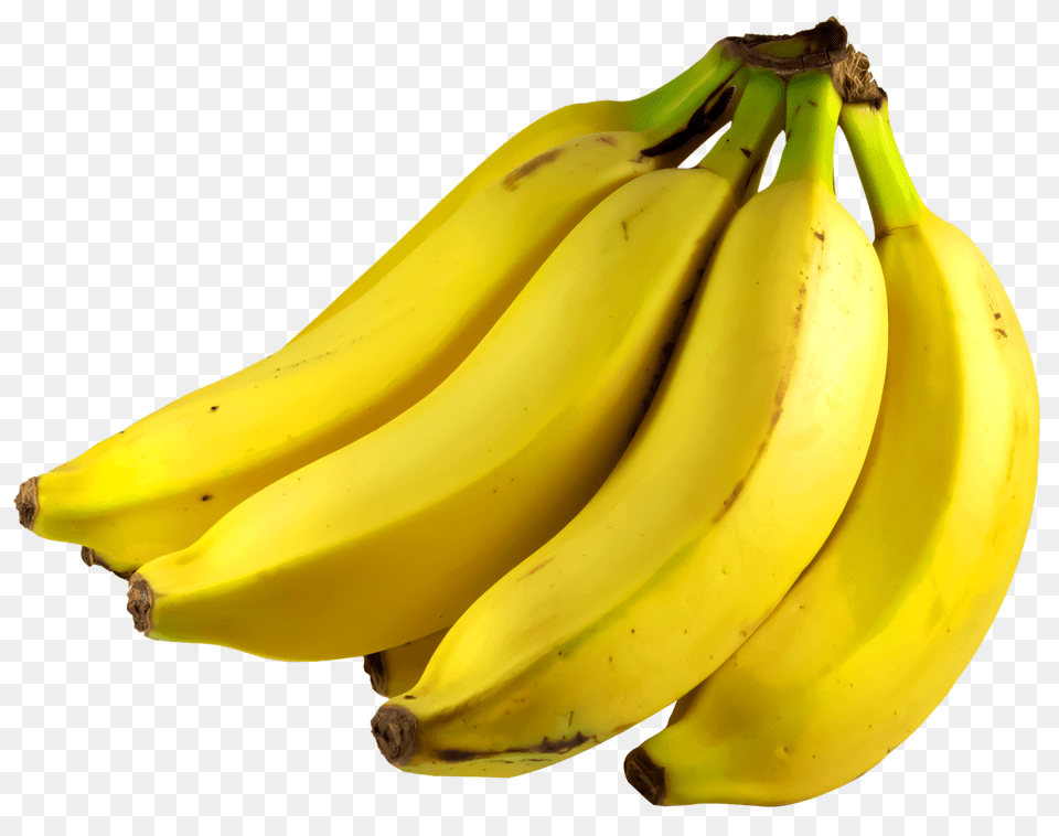 Bunch Of Bananas Image, Banana, Food, Fruit, Plant Png