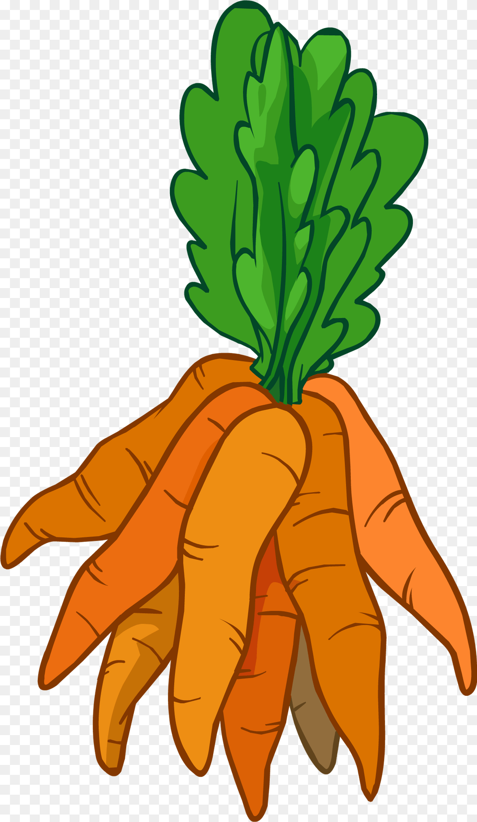 Bunch Of Carrots Clipart, Carrot, Food, Plant, Produce Free Png