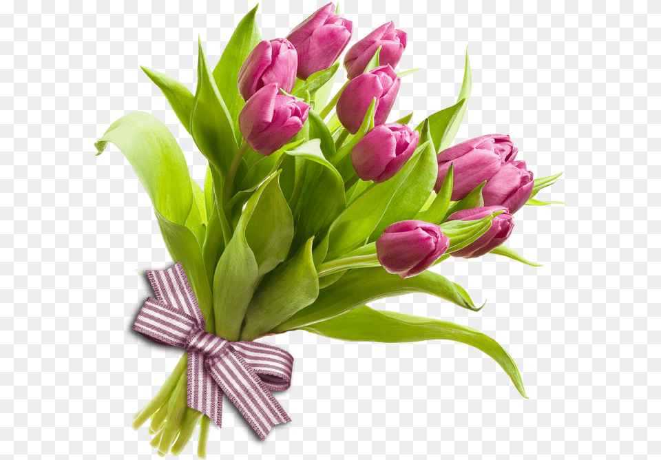 Bunch Of Flowers Image Bunch Of Flower, Flower Arrangement, Flower Bouquet, Plant, Tulip Free Png Download