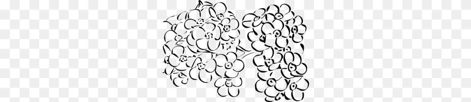 Bunch Of Forget Me Nots Clip Arts For Web, Gray Free Png Download