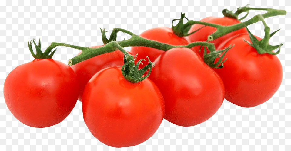 Bunch Of Fresh Tomatoes, Food, Plant, Produce, Tomato Png Image