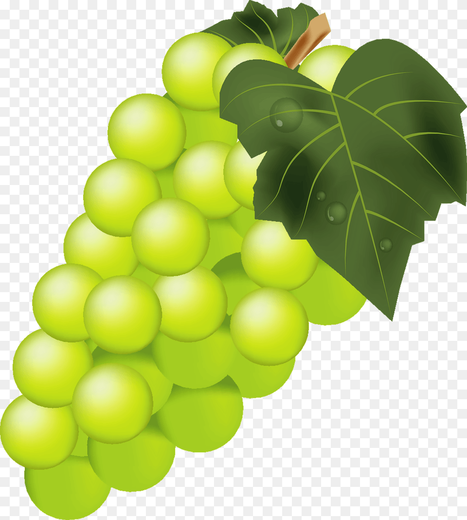 Bunch Of Green Grape Clipart, Food, Fruit, Grapes, Plant Free Png