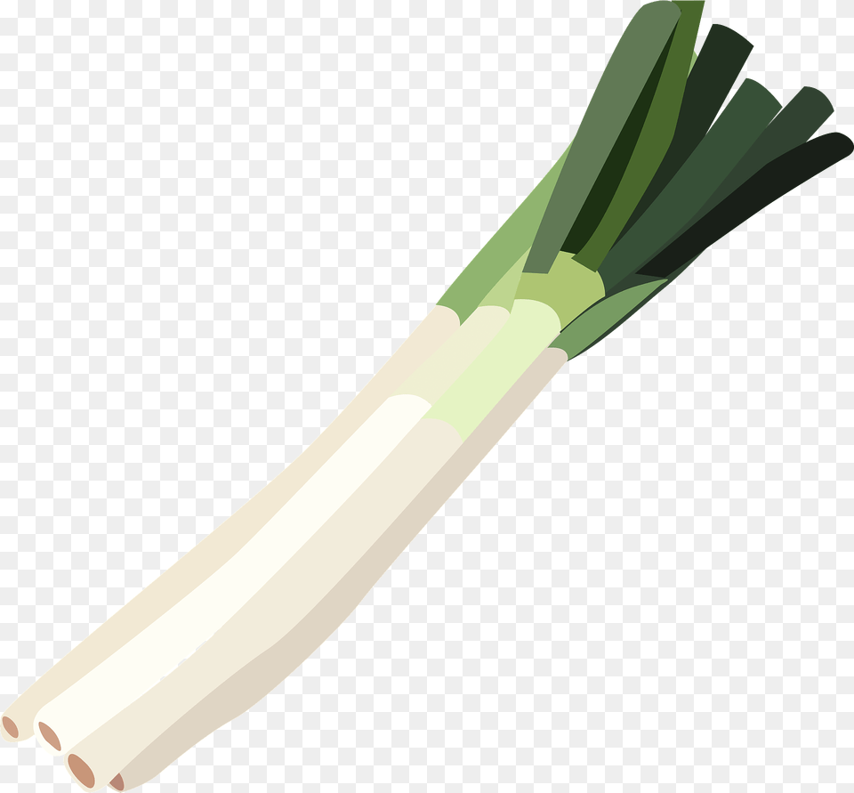 Bunch Of Japanese Onions Clipart, Food, Produce, Leek, Plant Free Png Download