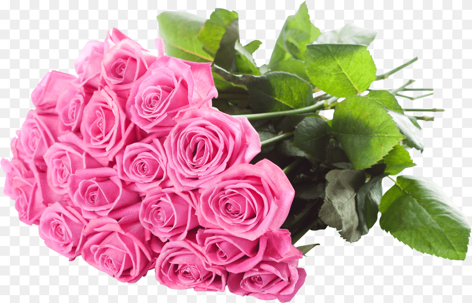 Bunch Of Pink Rose Bunch Of Rose, Flower, Flower Arrangement, Flower Bouquet, Plant Free Png Download