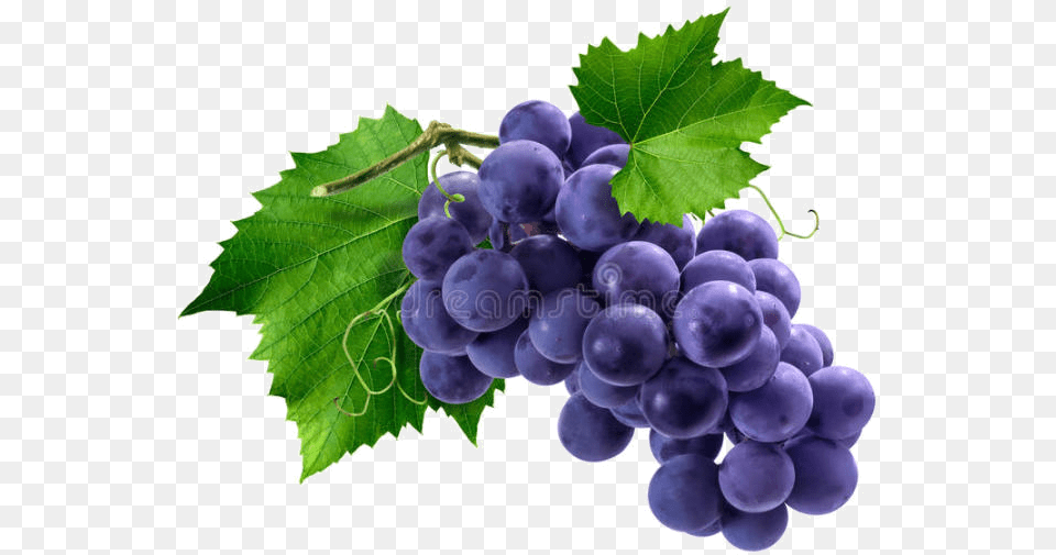 Bunch Of Purple Grapes, Food, Fruit, Plant, Produce Png