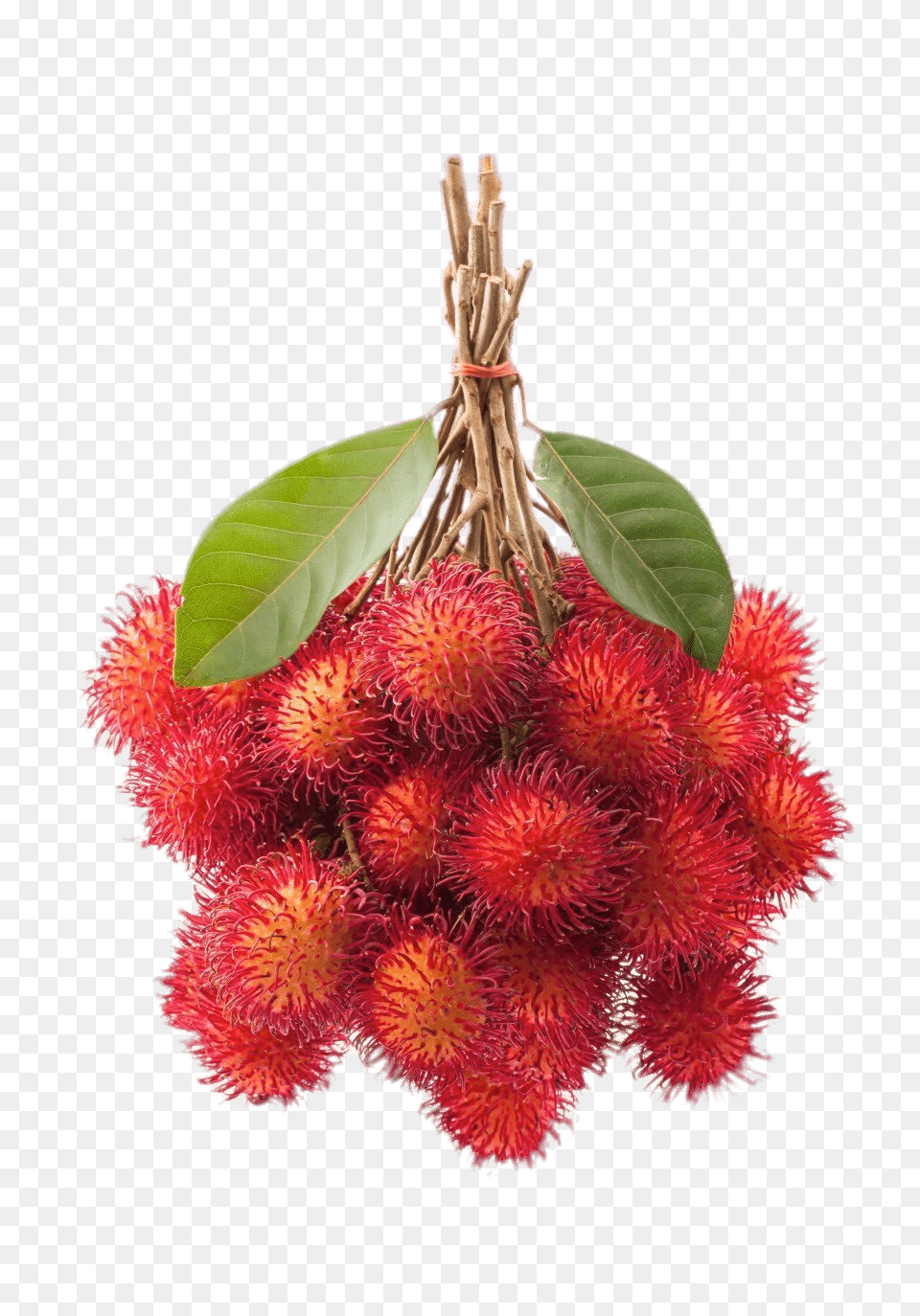 Bunch Of Rambutan, Food, Fruit, Plant, Produce Free Png Download