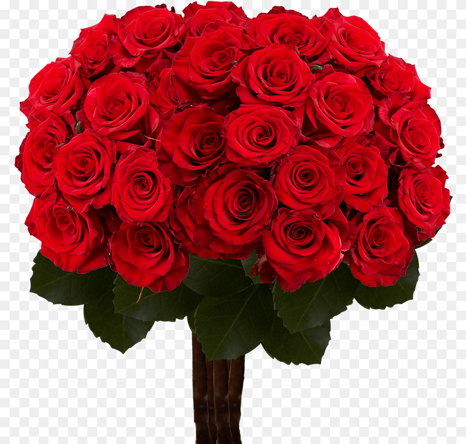 Bunch Of Roses, Flower, Flower Arrangement, Flower Bouquet, Plant Free Transparent Png