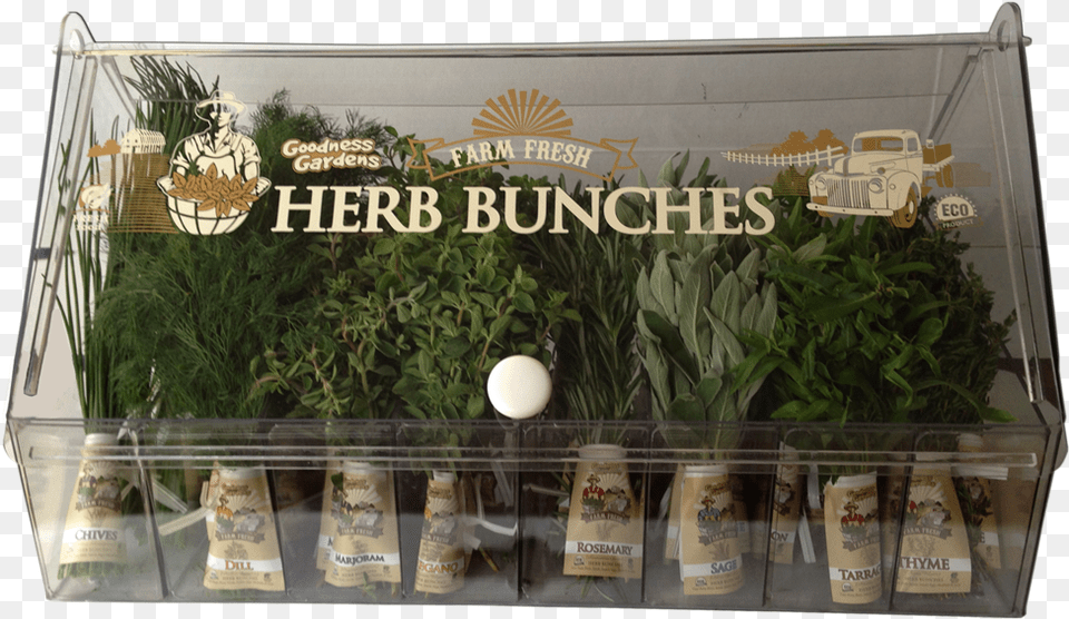Bunched Herbs, Plant, Herbal, Potted Plant, Person Png