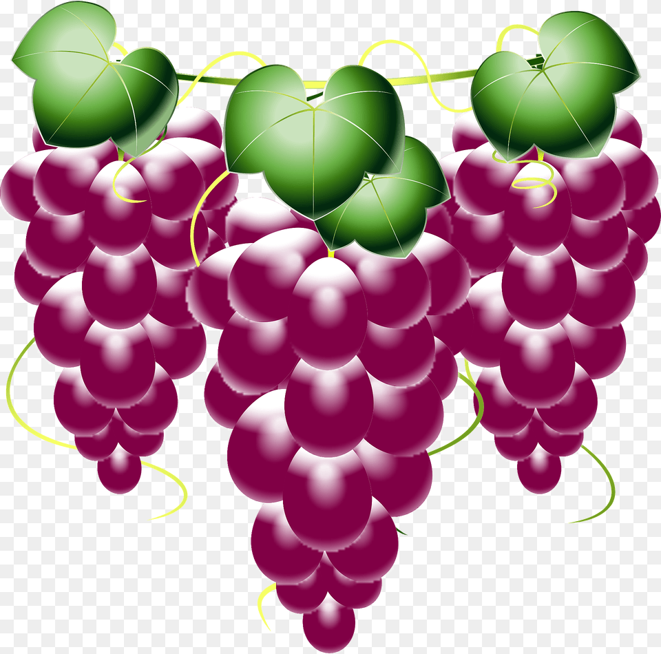Bunches Of Grapes Clipart, Food, Fruit, Plant, Produce Png Image