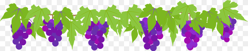 Bunches Of Grapes On The Vine Clipart, Art, Graphics, Leaf, Plant Free Png Download