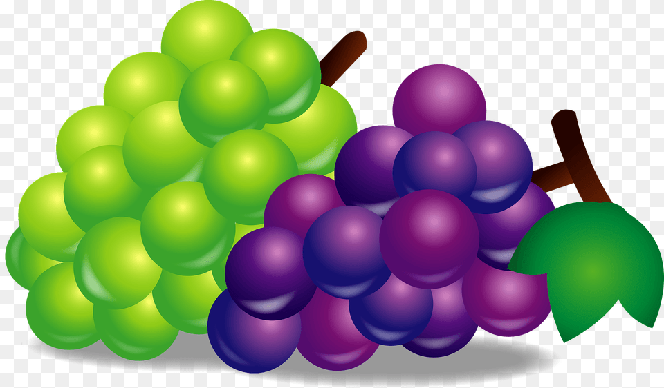 Bunches Of Green And Purple Grapes Clipart, Food, Fruit, Plant, Produce Free Transparent Png