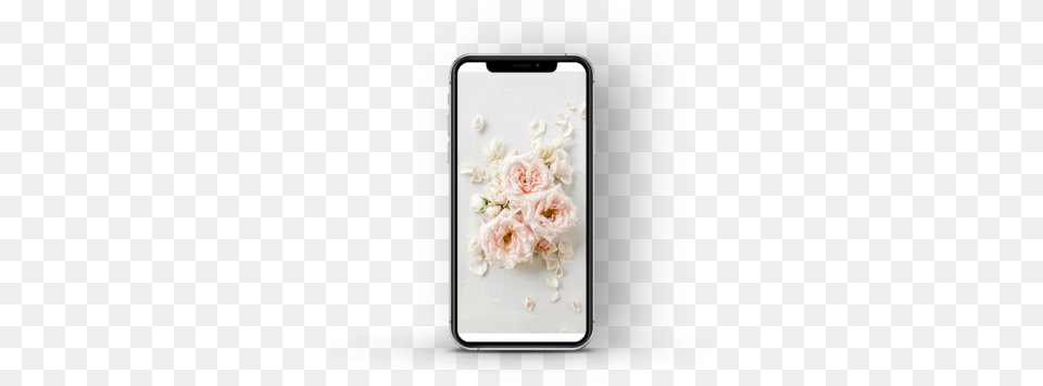 Bundle Iphone, Electronics, Mobile Phone, Phone, Flower Free Png