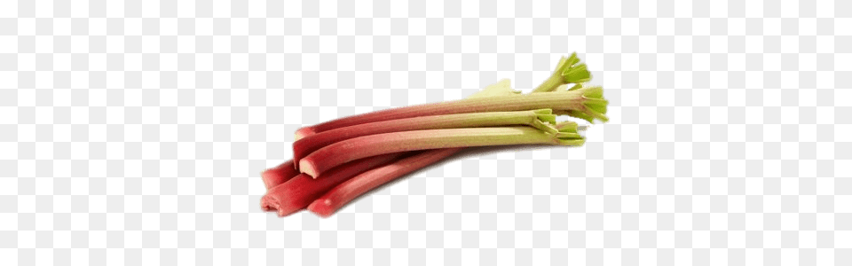 Bundle Of Rhubarb, Food, Produce, Plant, Vegetable Png Image