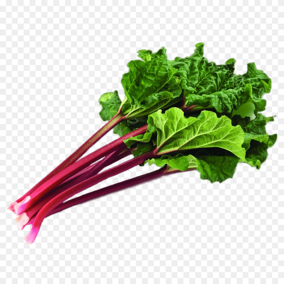 Bundle Of Rhubarb With Leaves, Food, Produce, Plant, Vegetable Free Png Download