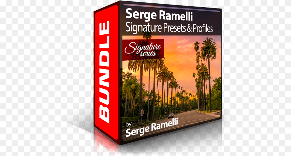 Bundle Photoshop Brush Pack, Advertisement, Palm Tree, Plant, Tree Free Transparent Png
