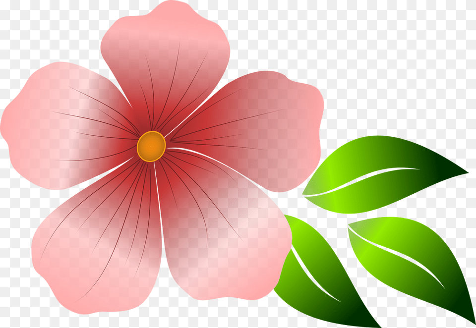 Bunga, Flower, Geranium, Petal, Plant Free Transparent Png