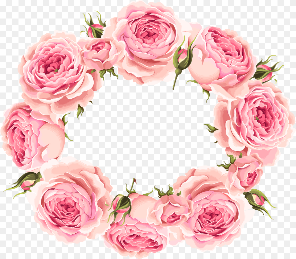 Bunga Bingkai Undangan Pernikahan, Flower, Plant, Rose Free Png