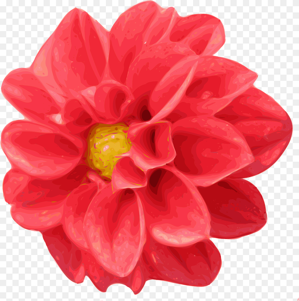 Bunga Dahlia Clipart, Flower, Plant, Food, Ketchup Free Png Download
