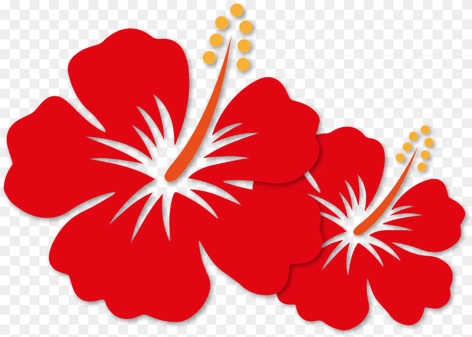 Bunga Malaysia Mygie National Principle Vector Vector Hibiscus Flower, Plant, Person Png Image