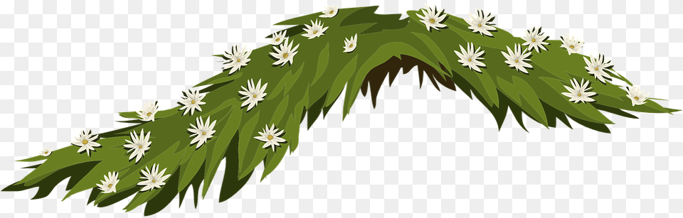 Bunga Melati Putih, Green, Plant, Grass, Art Free Png