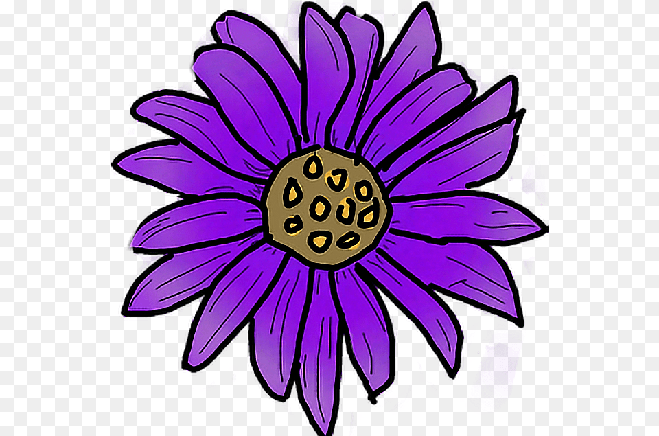 Bunga Purple Rose Clipart Bunga African Daisy Clip Art, Dahlia, Plant, Flower, Graphics Png Image