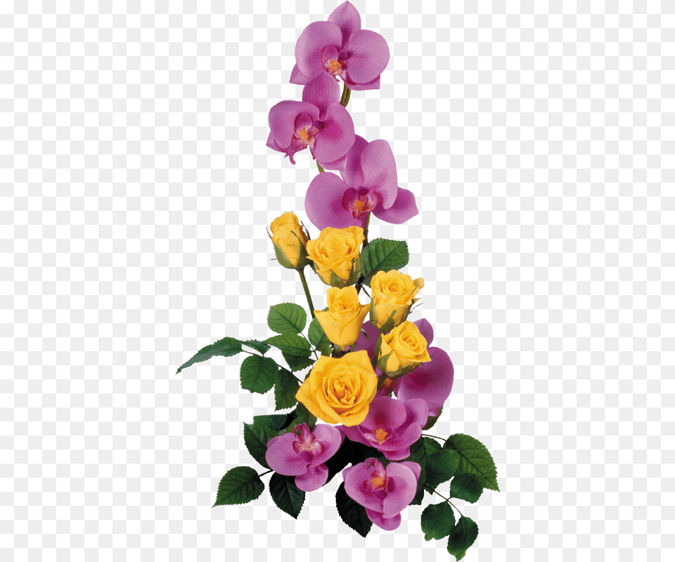 Bunga Splash, Flower, Flower Arrangement, Flower Bouquet, Plant Free Png Download