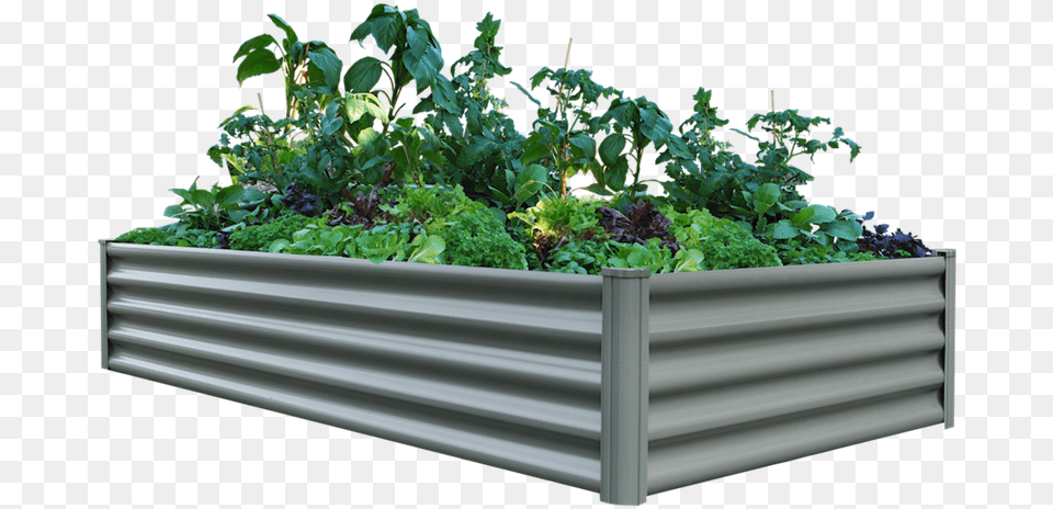 Bunnings Raised Garden Bed, Jar, Plant, Planter, Potted Plant Png