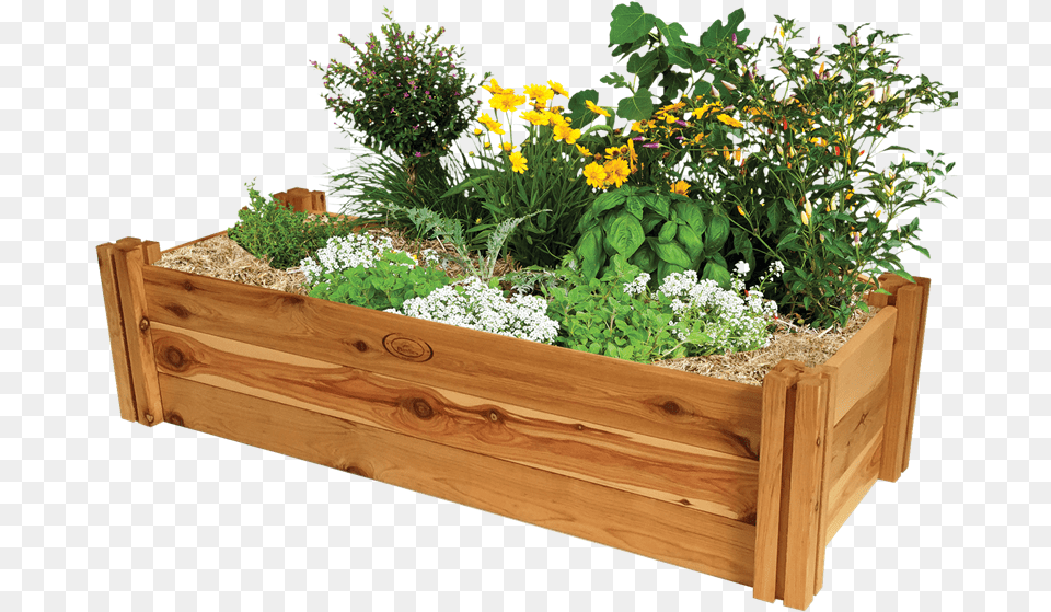 Bunnings Raised Garden Beds, Jar, Plant, Planter, Potted Plant Free Png