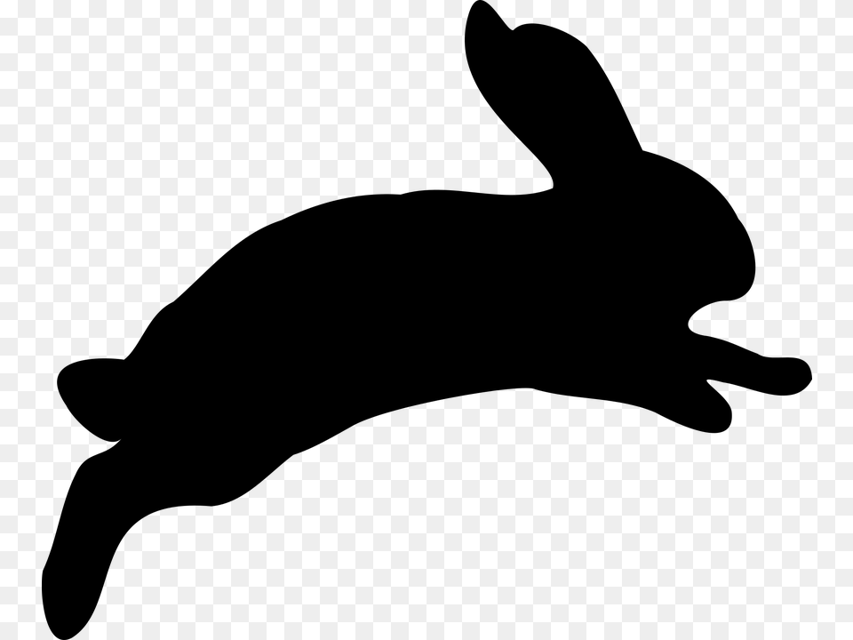 Bunny Gray Png Image