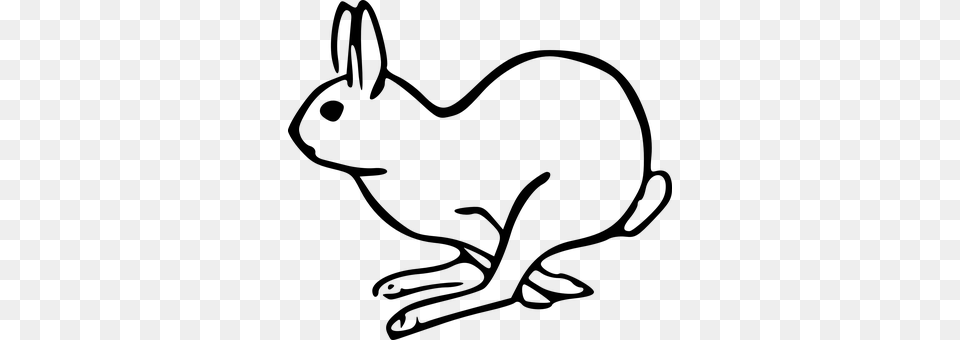 Bunny Gray Png Image