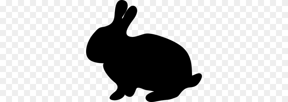 Bunny Gray Png