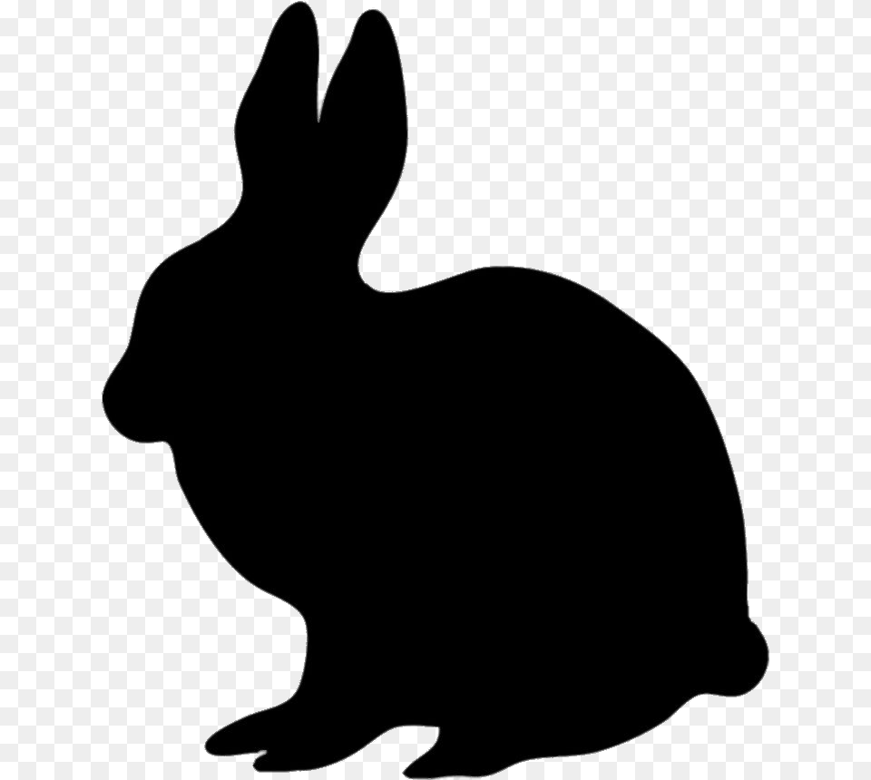 Bunny, Animal, Mammal, Rabbit, Person Free Png