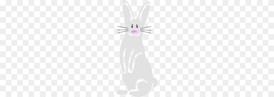 Bunny Animal, Cat, Mammal, Pet Free Transparent Png