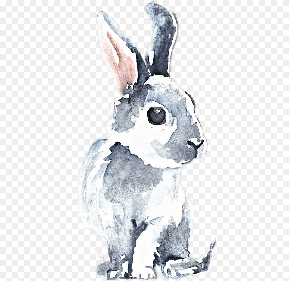 Bunny Aquarelle, Animal, Mammal, Rabbit, Baby Free Png Download