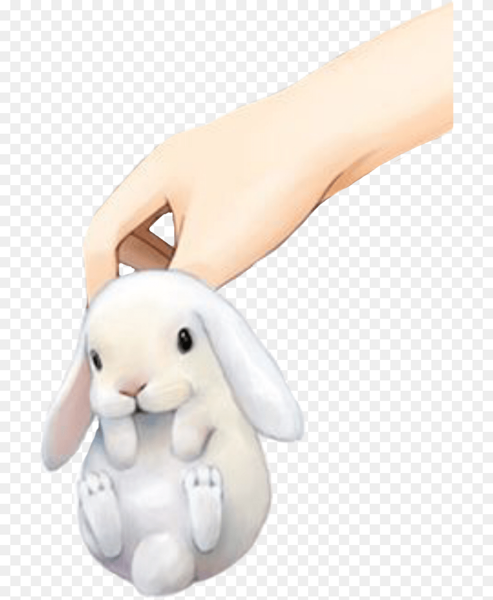 Bunny Baby Rabbit Hand Freetoedit Stuffed Toy, Animal, Mammal, Person Png Image