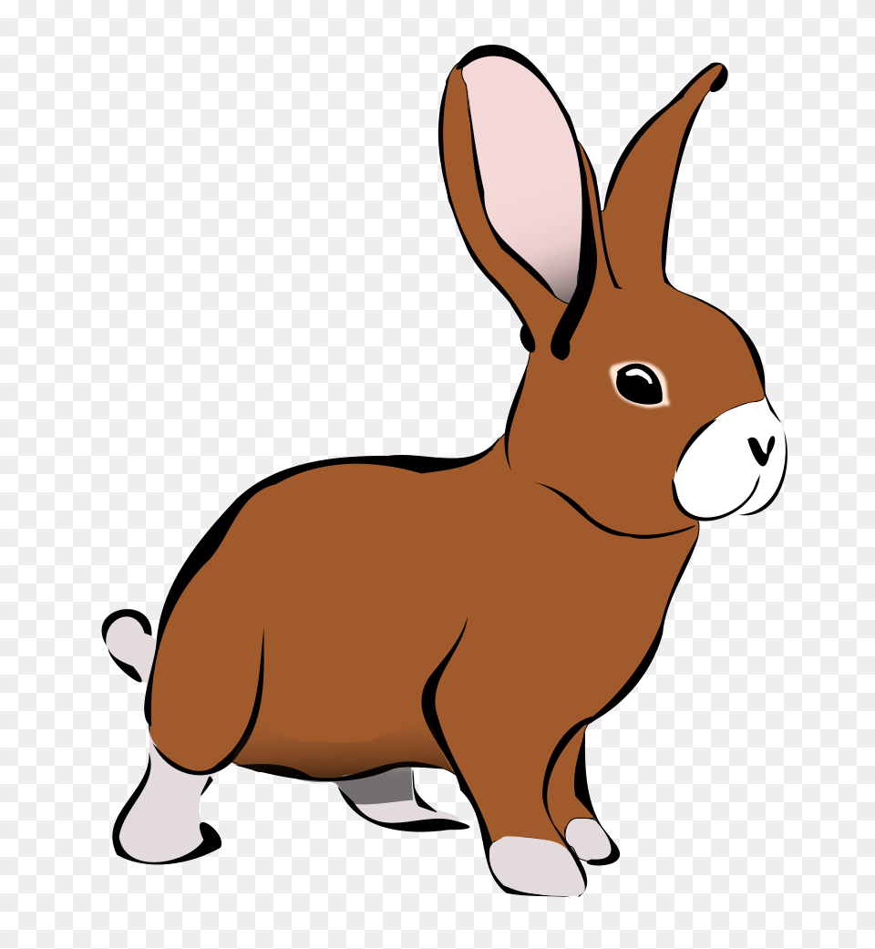 Bunny Clipart Animal, Baby, Person, Mammal, Rabbit Free Transparent Png