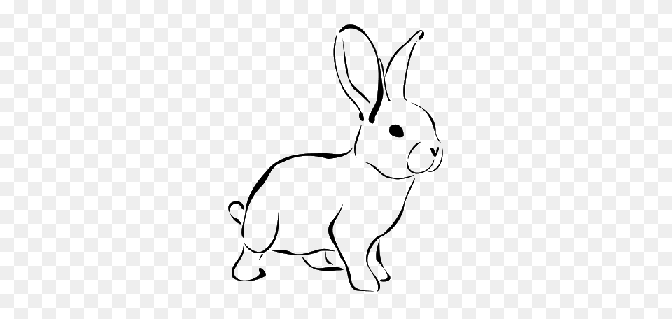 Bunny Decor Rabbit, Animal, Mammal, Kangaroo, Hare Free Png