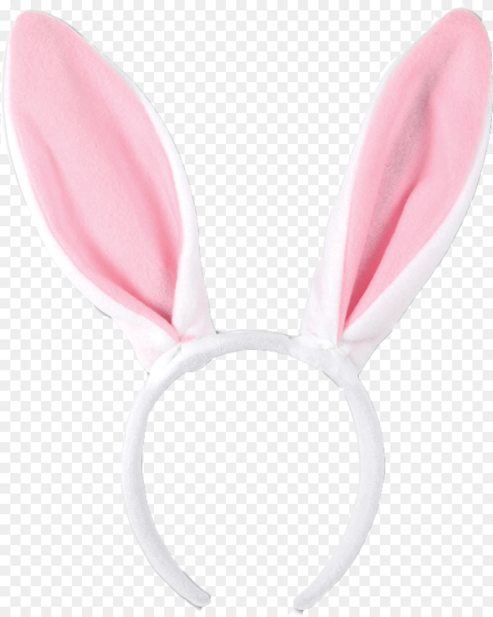 Bunny Ears Transparent Background, Plant, Petal, Flower, Accessories Png Image