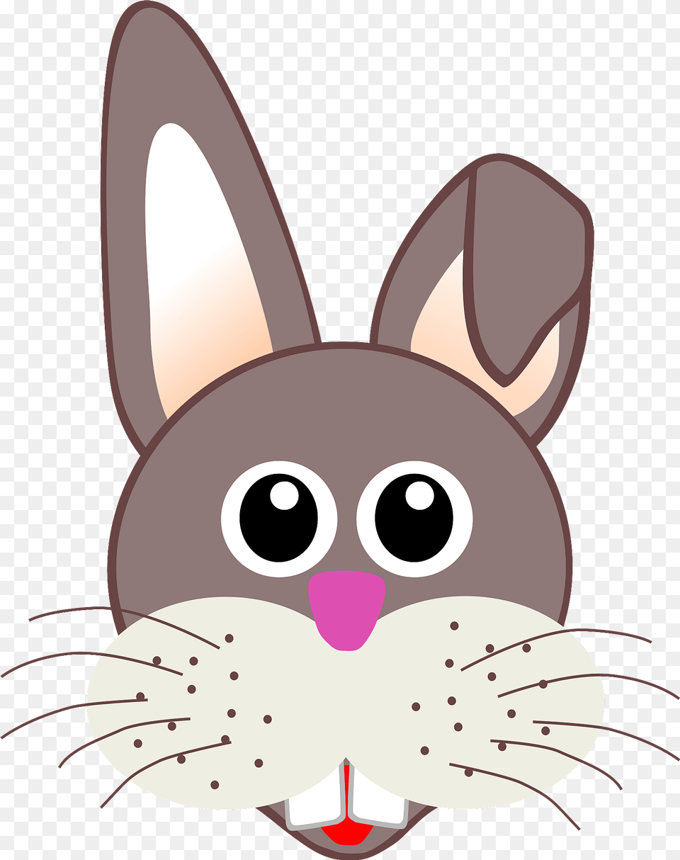 Bunny Face Clipart, Snout, Nature, Outdoors, Snow Png Image