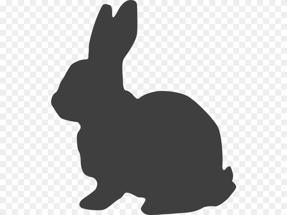 Bunny Graphic Desktop Backgrounds, Animal, Mammal, Rabbit Png Image