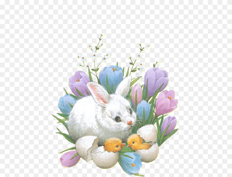 Bunny Happiness Happy Flowers Rabbit Happy Easter, Animal, Bird, Mammal, Rat Png Image