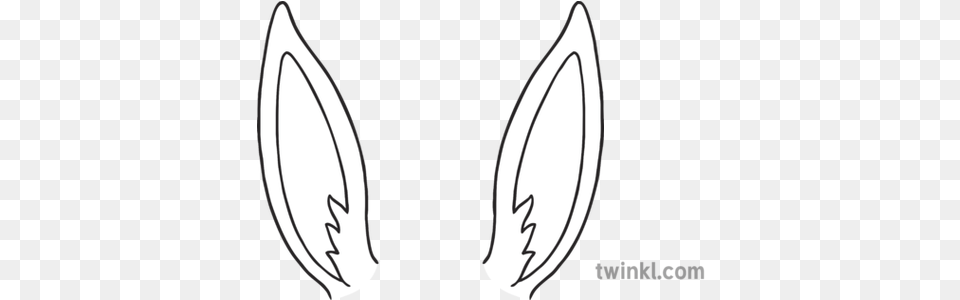Bunny Rabbit Ears Animals Nature Body Parts Ks1 Black And Animal Body Parts Ears, Water, Surfing, Leisure Activities, Outdoors Free Png Download