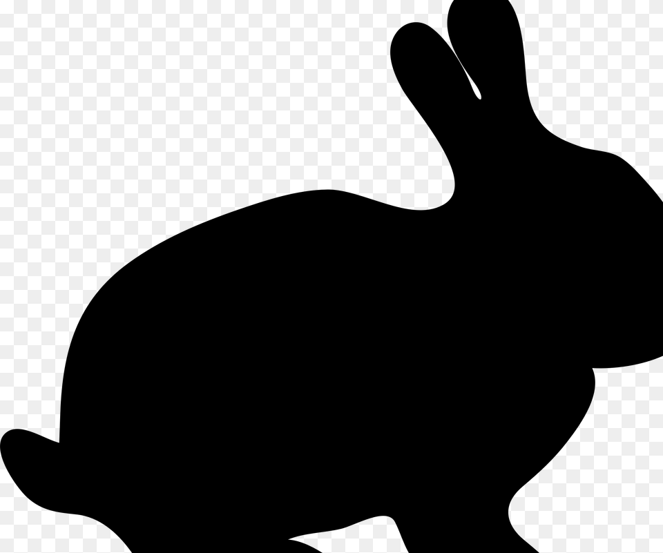 Bunny Rabbit Silhouette By Savanaprice System Of Linear Equations, Gray Png Image