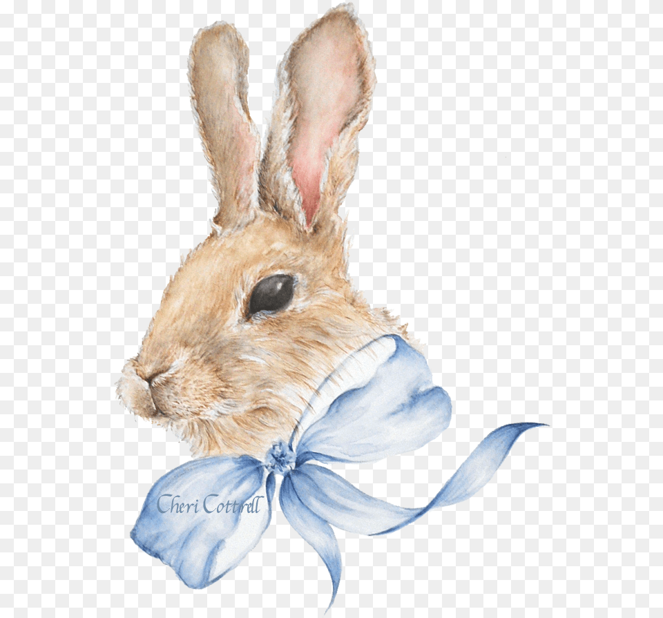 Bunny Rabbit Watercolour Download Bunny Background Watercolour, Animal, Mammal, Bird, Chicken Free Transparent Png