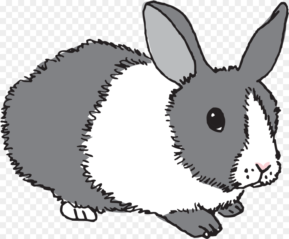 Bunny Tattly, Animal, Mammal, Rabbit, Dinosaur Free Transparent Png