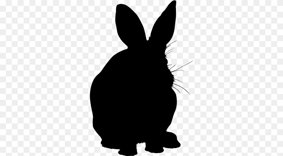 Bunny Images Domestic Rabbit, Animal, Mammal, Silhouette Free Transparent Png