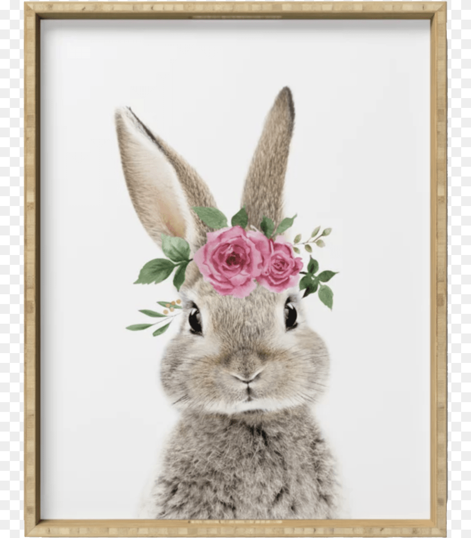 Bunny With Crown Serving Tray, Flower, Plant, Rose, Animal Free Png